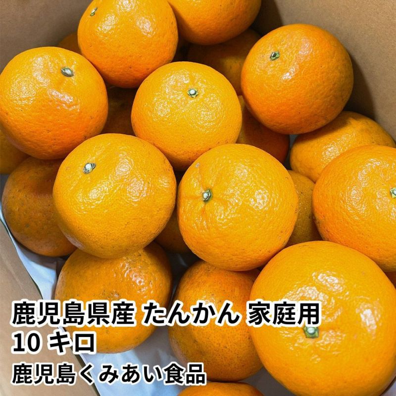 鹿児島県産 たんかん 家庭用 10キロ 4L～2Sサイズの商品画像01